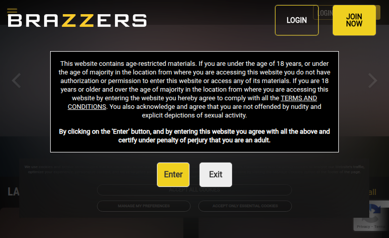 Brazzers A Review of the Popular Adult Site escortnext
