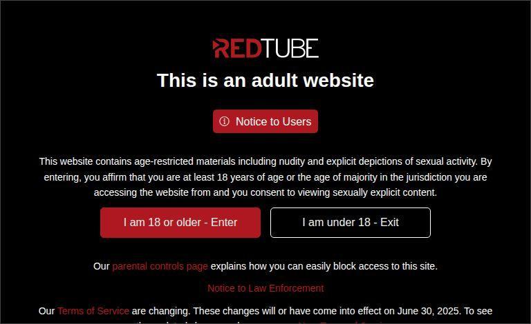 RedTube Review: Features, Video Categories, Pros, Cons and User Experience